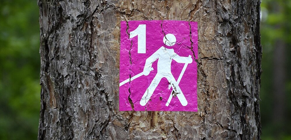 Nordic Walking - Paličkovaním k zdraviu