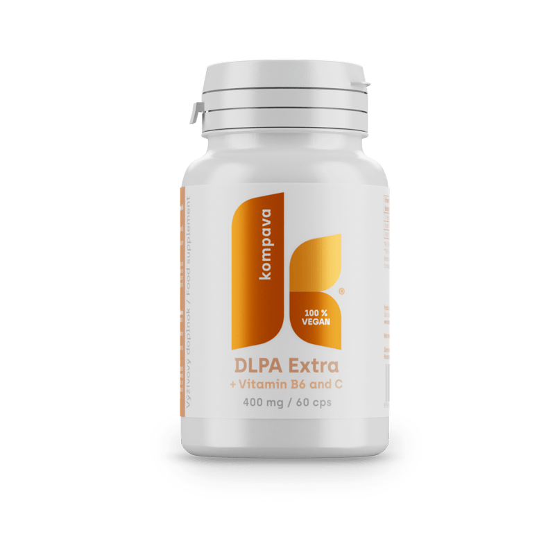 DLPA extra/LIME 18/19 174CM